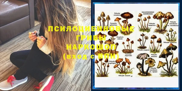mix Нязепетровск