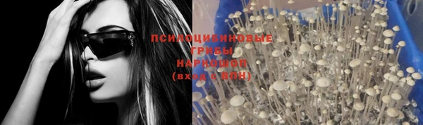 МДПВ Новодвинск