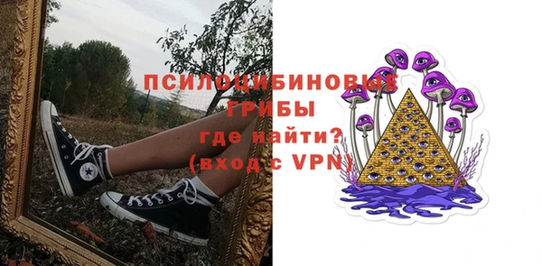 МДПВ Новодвинск