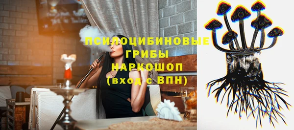соль ск Новозыбков