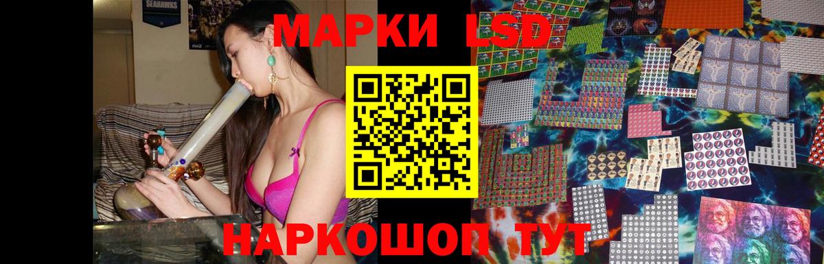 Галлюциногенные грибы Лабытнанги