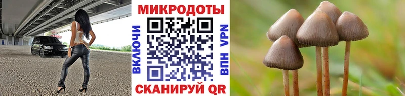 Псилоцибиновые грибы ЛСД Лабытнанги