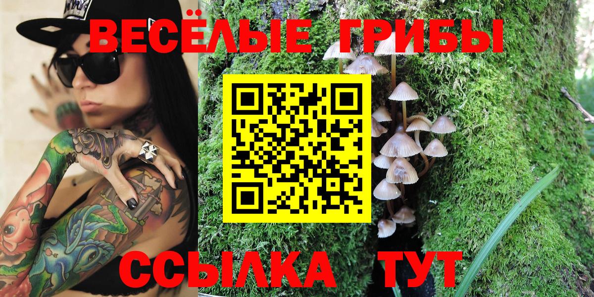 Псилоцибиновые грибы MAGIC MUSHROOMS Лабытнанги