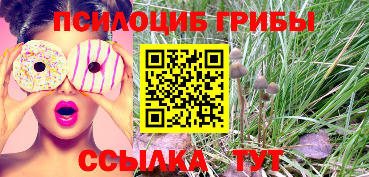 Псилоцибиновые грибы мухоморы  Вход с VPN  Лабытнанги 