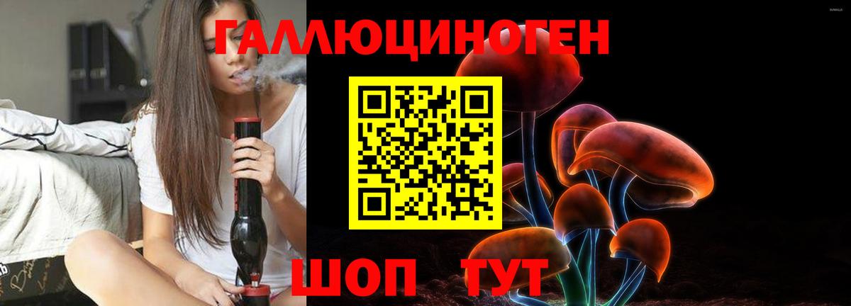 дарнет шоп  Лабытнанги  Галлюциногенные грибы GOLDEN TEACHER 