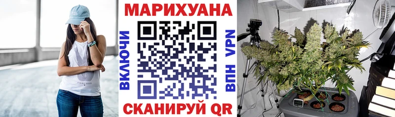 Шишки марихуана план  маркетплейс состав  Лабытнанги 
